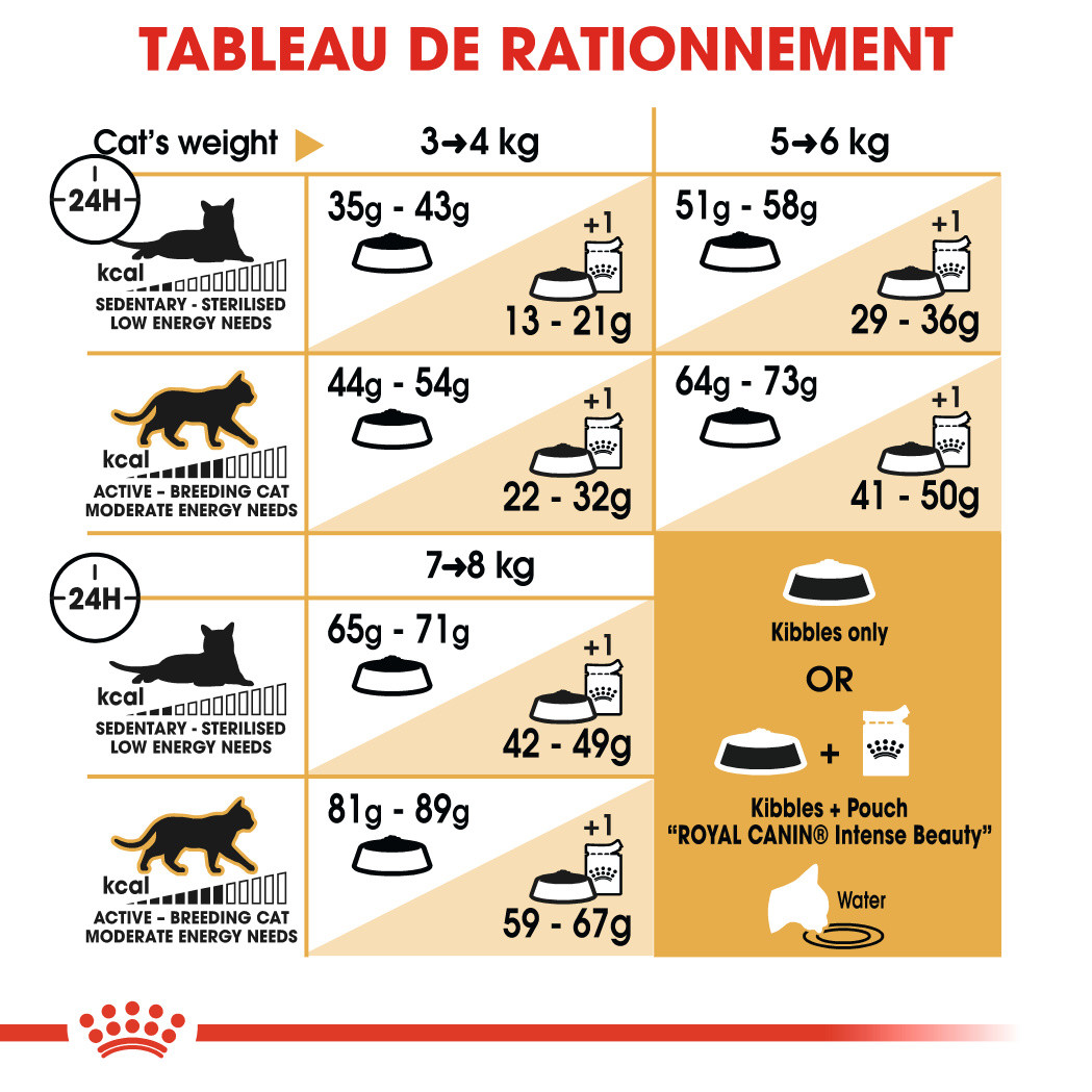 Royal Canin Norvégien pour chat