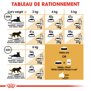 Royal Canin pour chat Persian