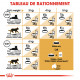 Royal Canin Chat Sphynx 33