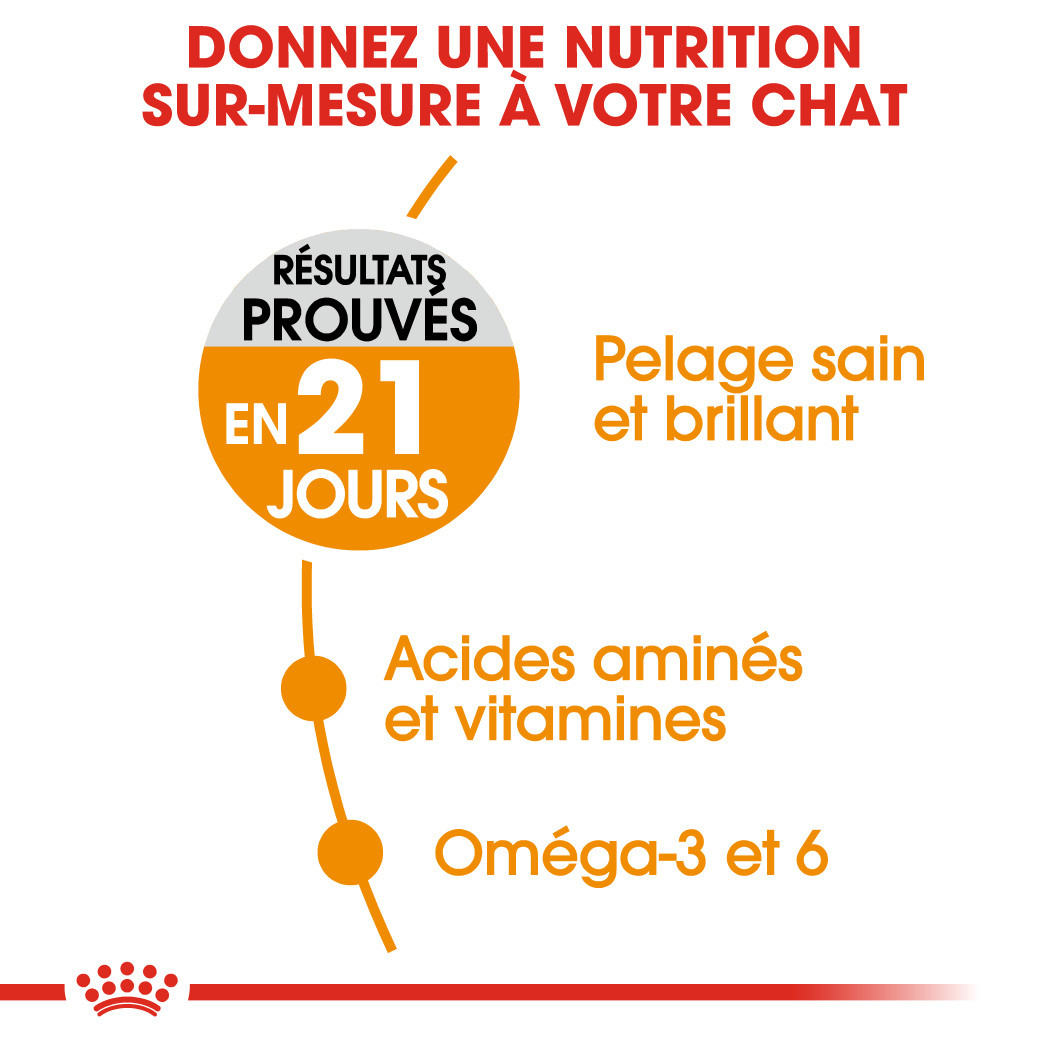 Royal Canin Chat Hair & Skin Care