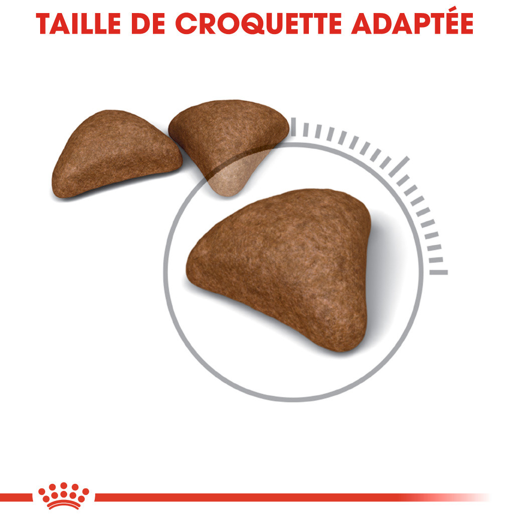 Royal Canin Hairball Care pour chat