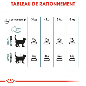Royal Canin Chat Hairball Care