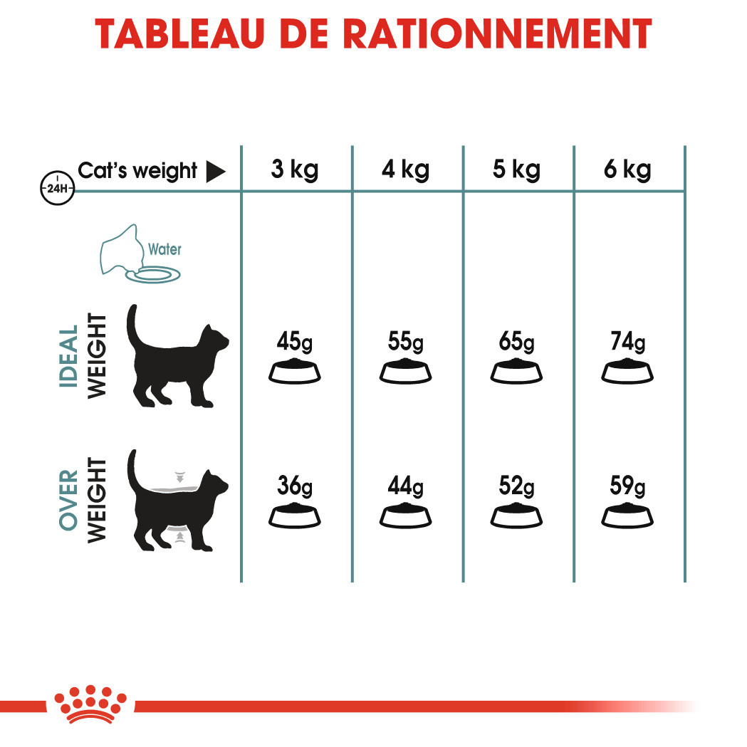 Royal Canin Hairball Care pour chat