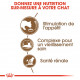 Royal Canin Ageing 12+ pour Chats
