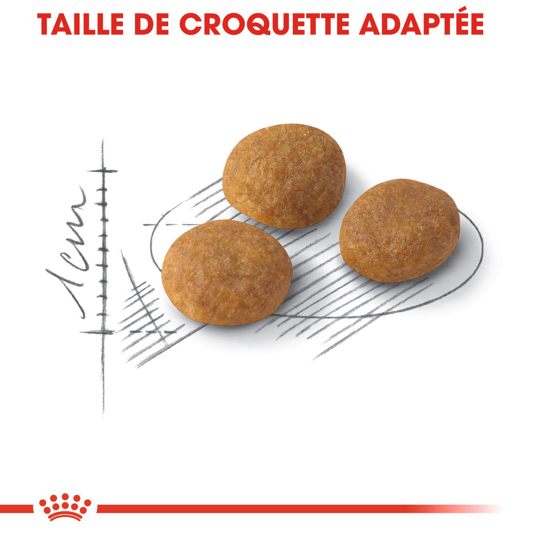 Royal Canin Aroma Exigent pour Chats