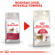 Royal Canin Chat Fit 32