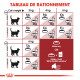 Royal Canin Chat Fit 32