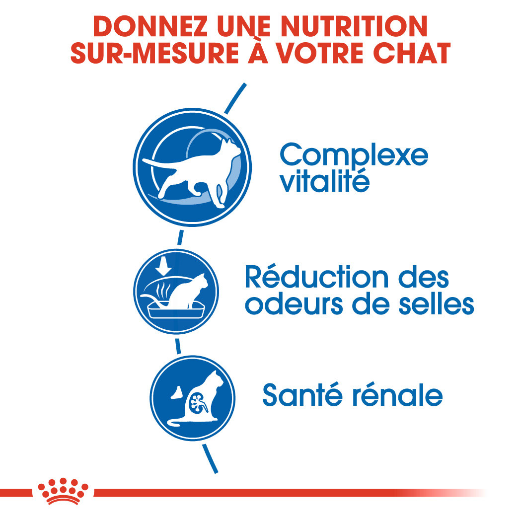 Royal Canin Chat Indoor 7+