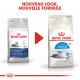 Royal Canin Chat Indoor 7+