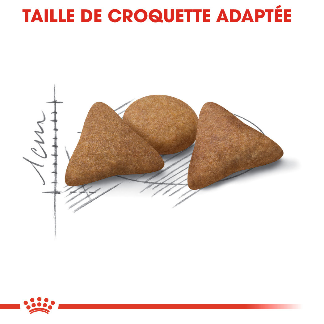 Royal Canin Indoor Appetite Control pour chat