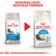 Royal Canin Indoor Long Hair pour chat