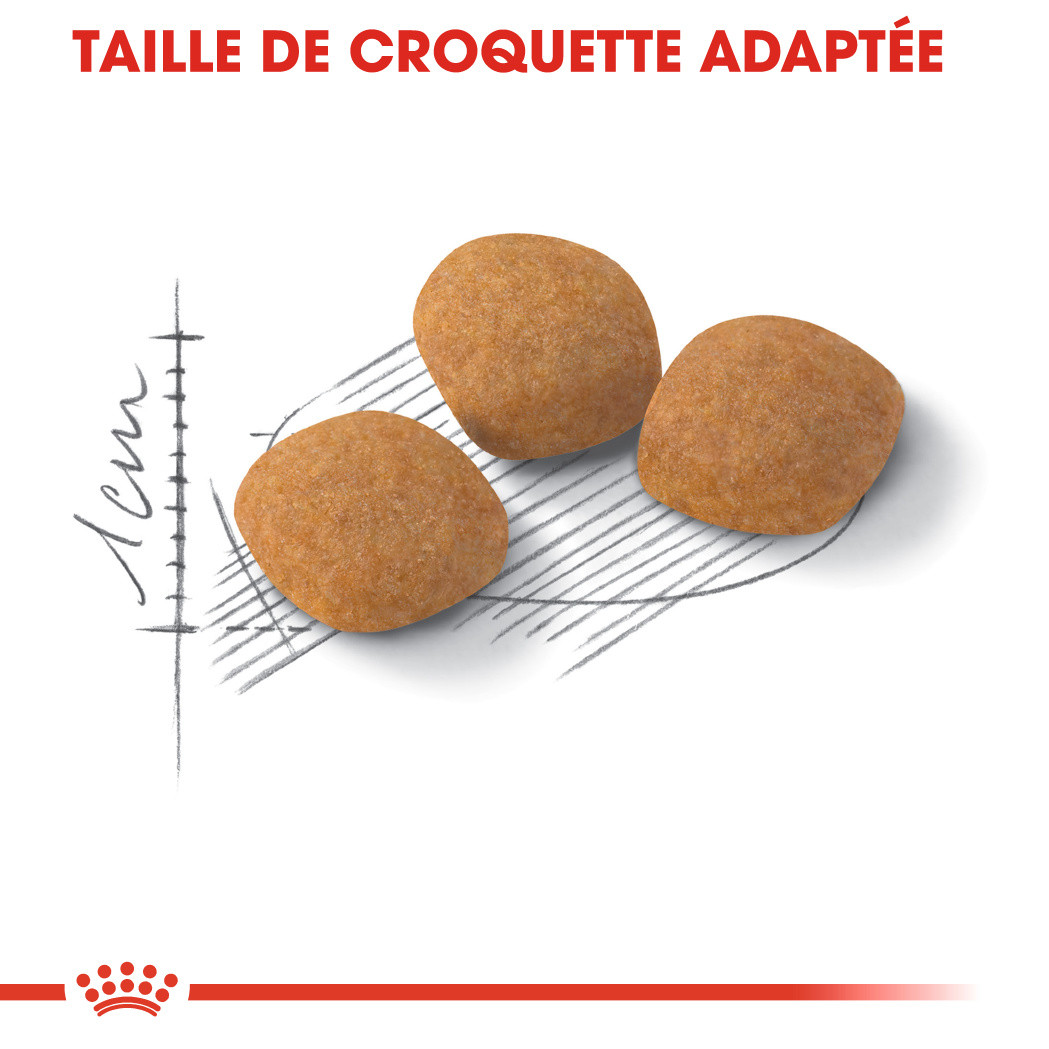 Royal Canin Protein Exigent Chat