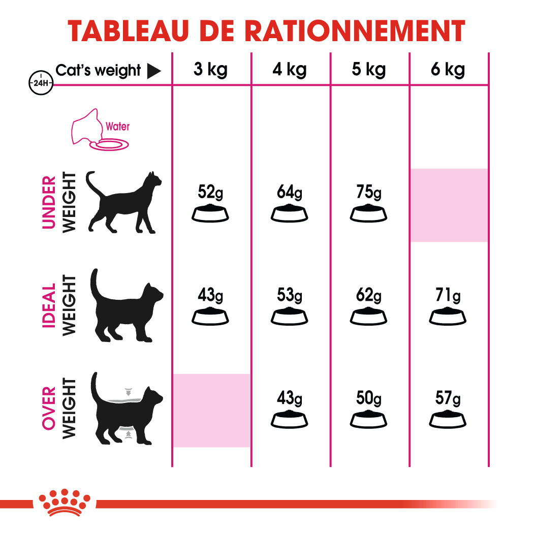 Royal Canin Protein Exigent Chat