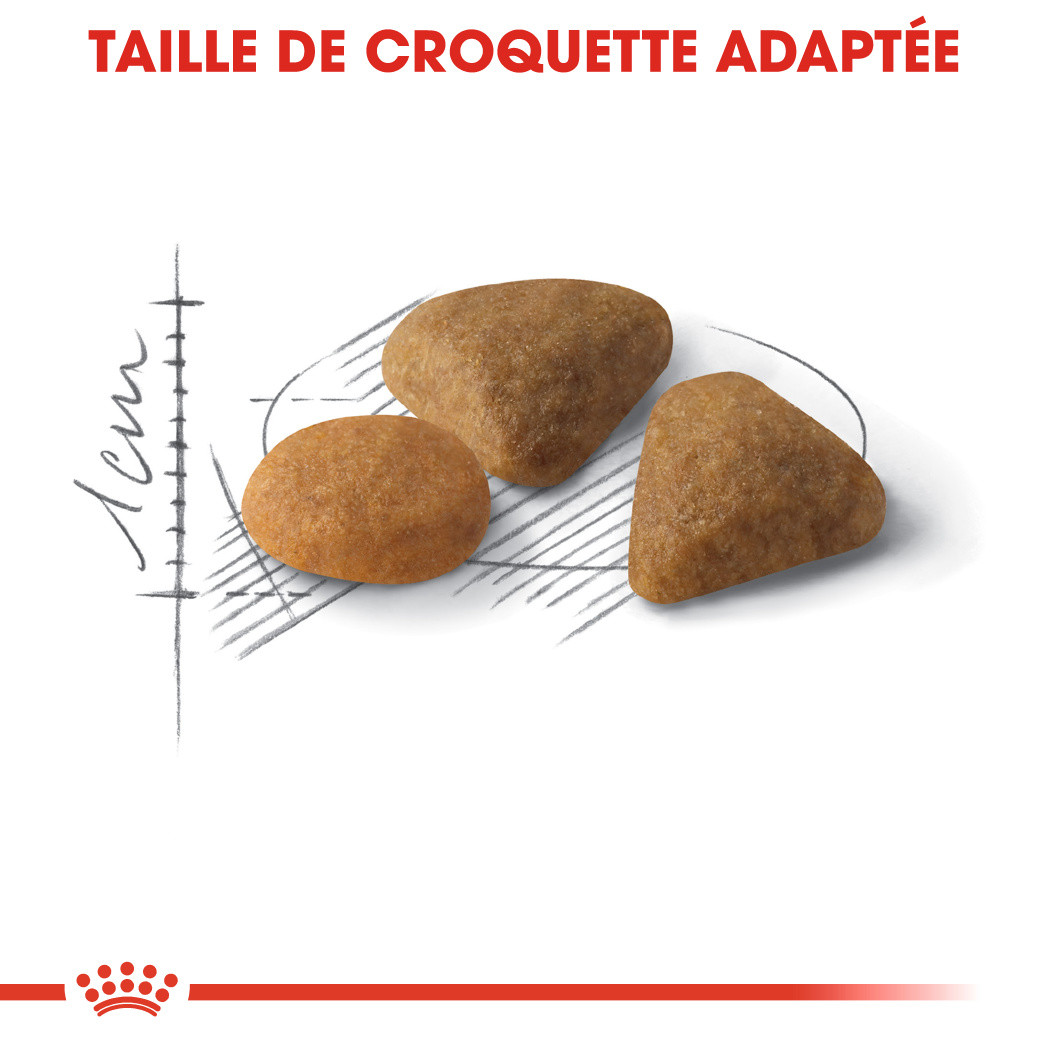 Royal Canin Chat Savour Exigent