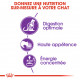 Royal Canin Chat Sensible 33