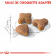 Royal Canin Chat Sensible 33