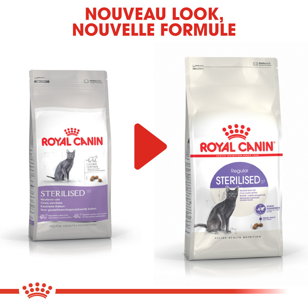 Royal Canin Regular Sterilised 37 pour chat