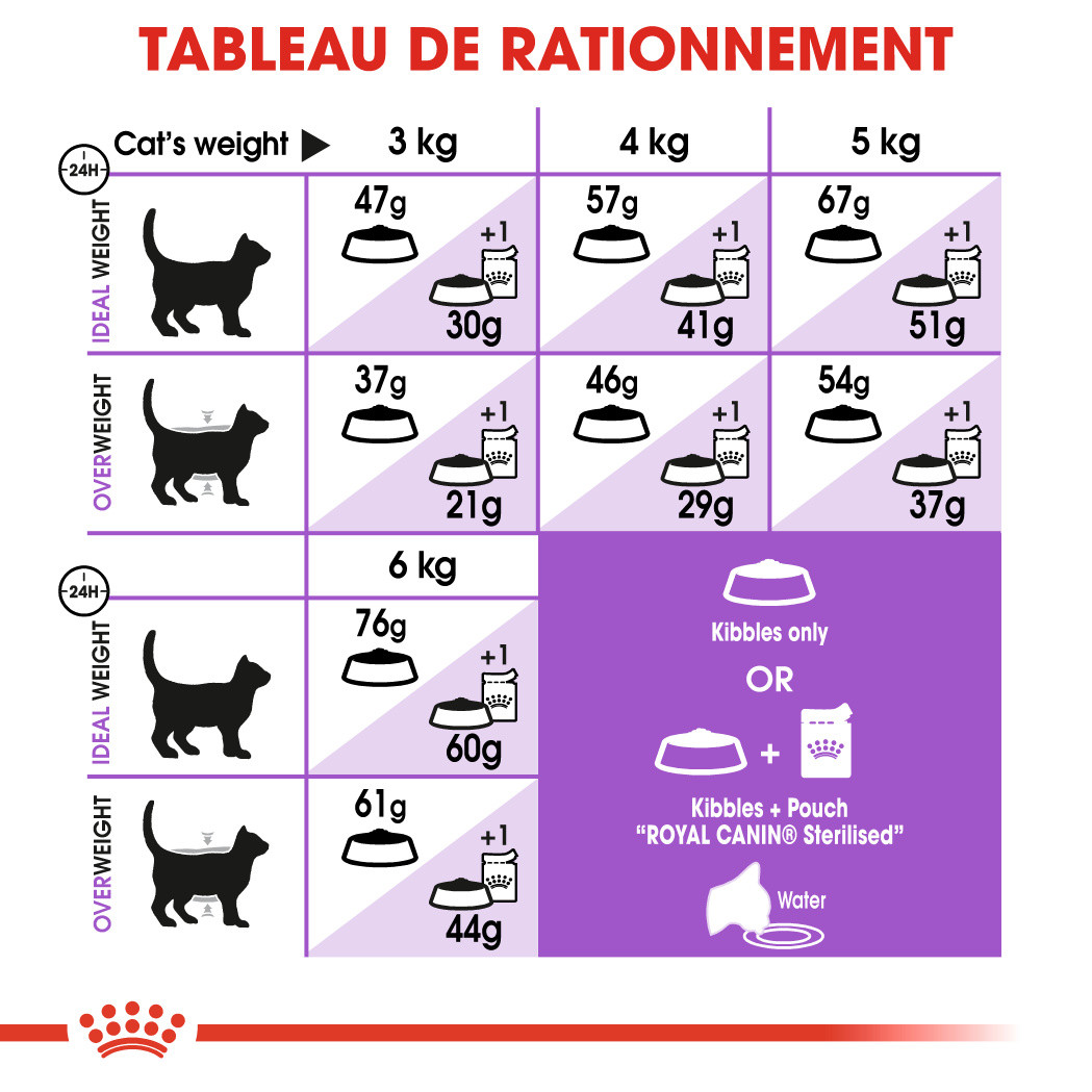 Royal Canin Regular Sterilised 37 pour chat