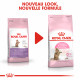 Royal Canin Chaton Sterilised