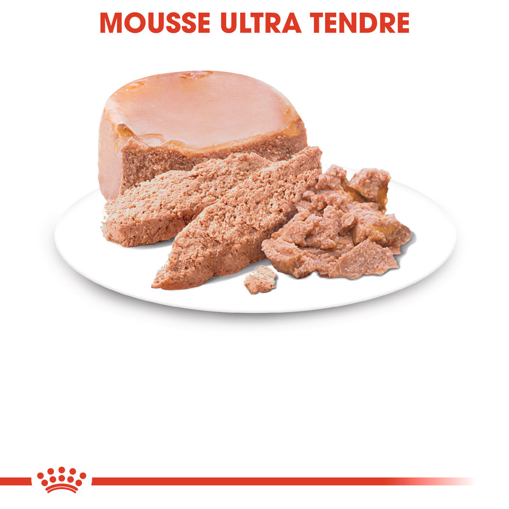 Royal Canin Mother & Babycat Mousse pour chatons