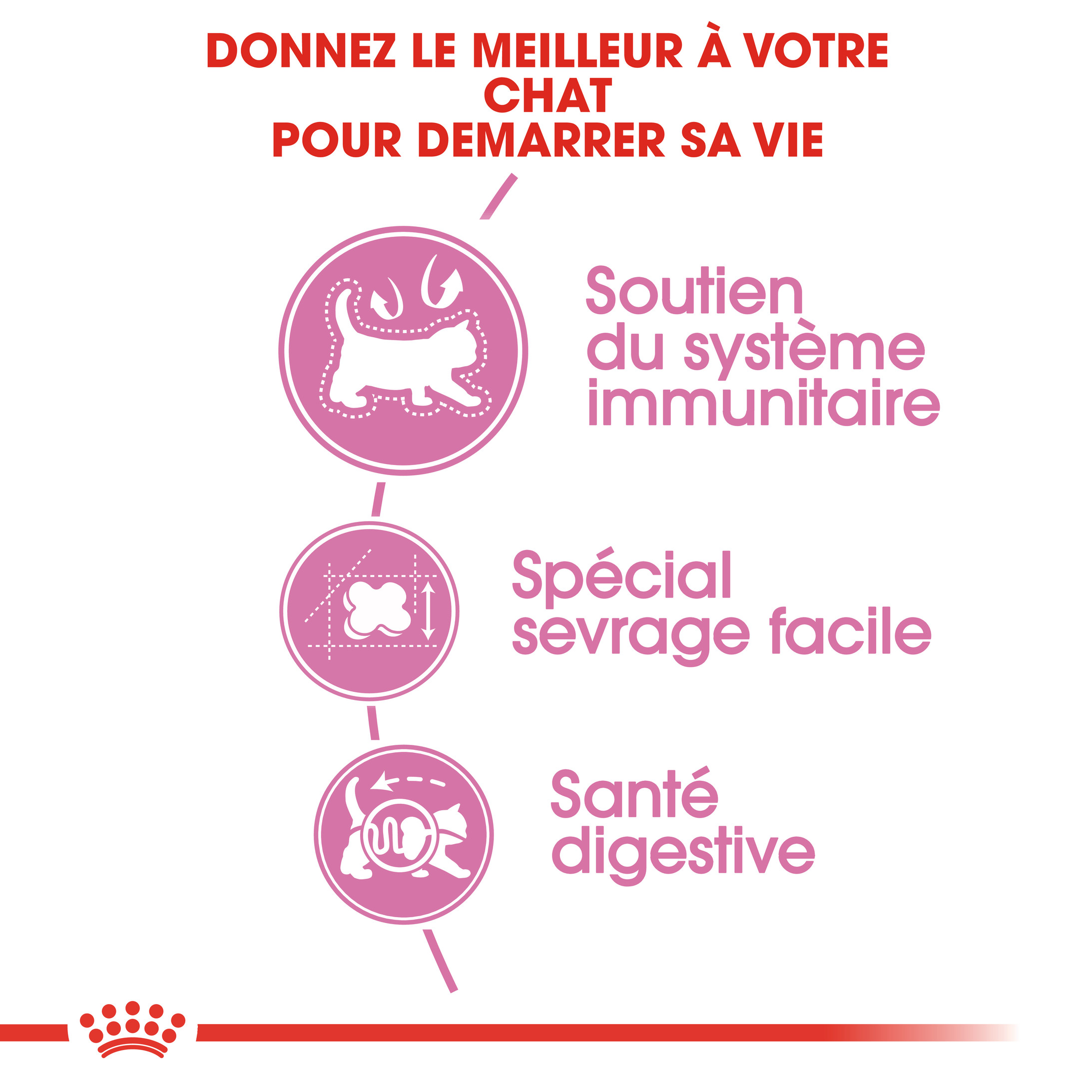 Royal Canin Chaton Babycat 34