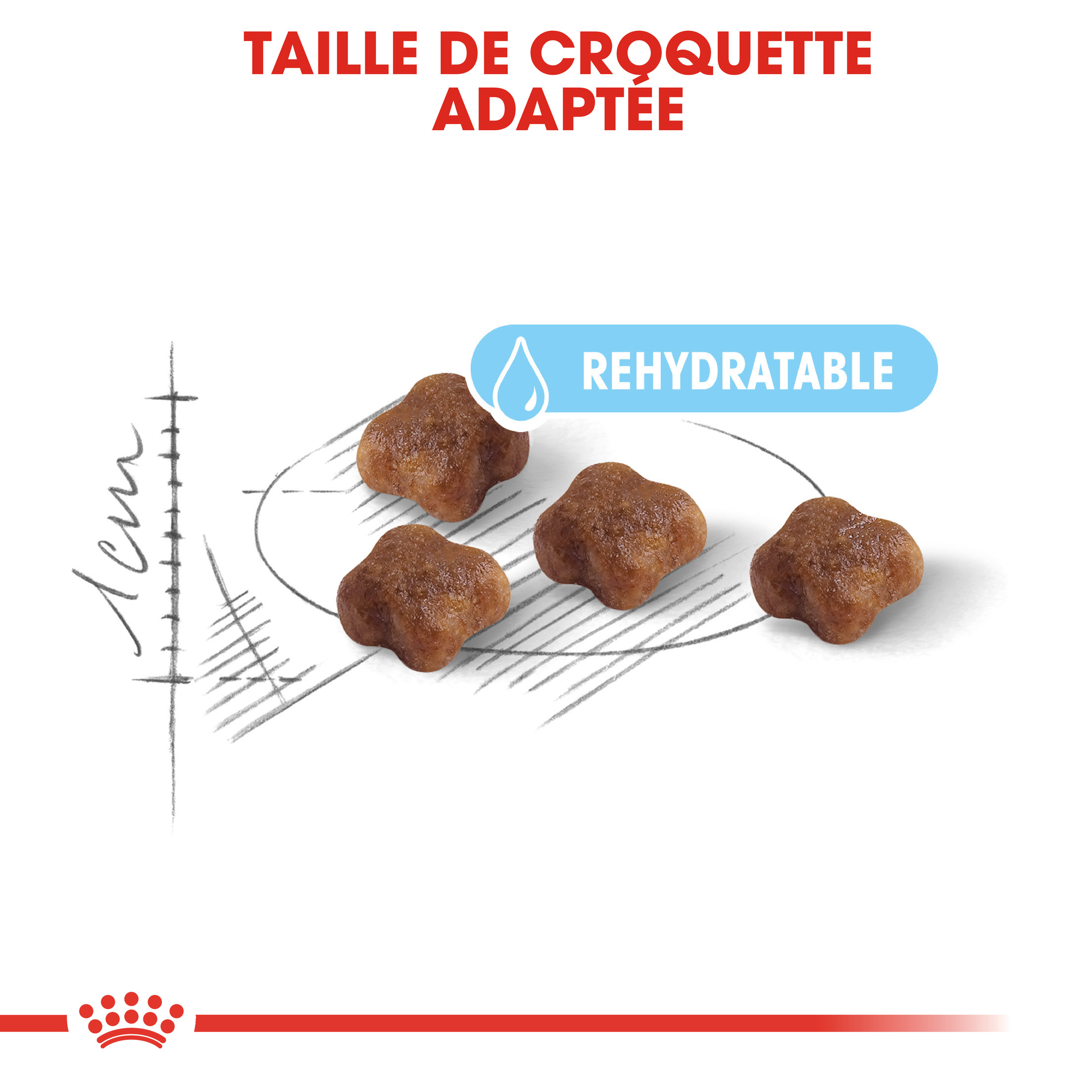 Royal Canin Chaton Babycat 34