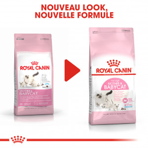 Royal Canin Chaton Babycat 34