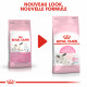 Royal Canin Chaton Babycat 34