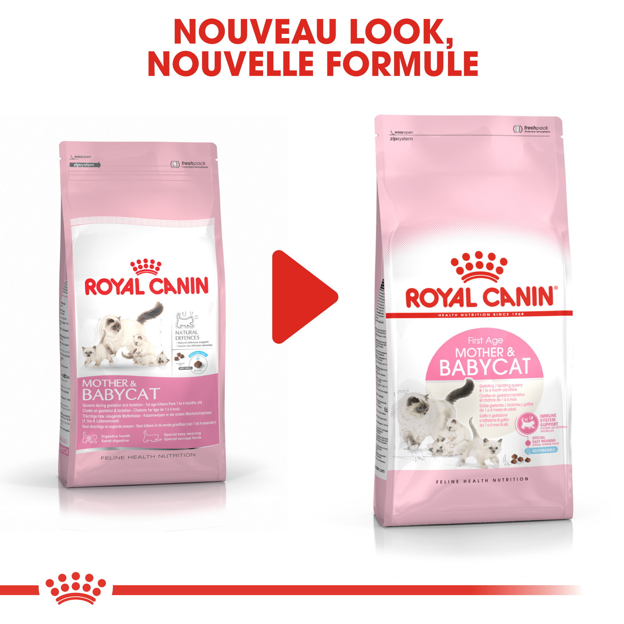 Royal Canin Chaton Babycat 34