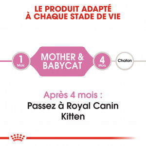 Royal Canin Chaton Babycat 34