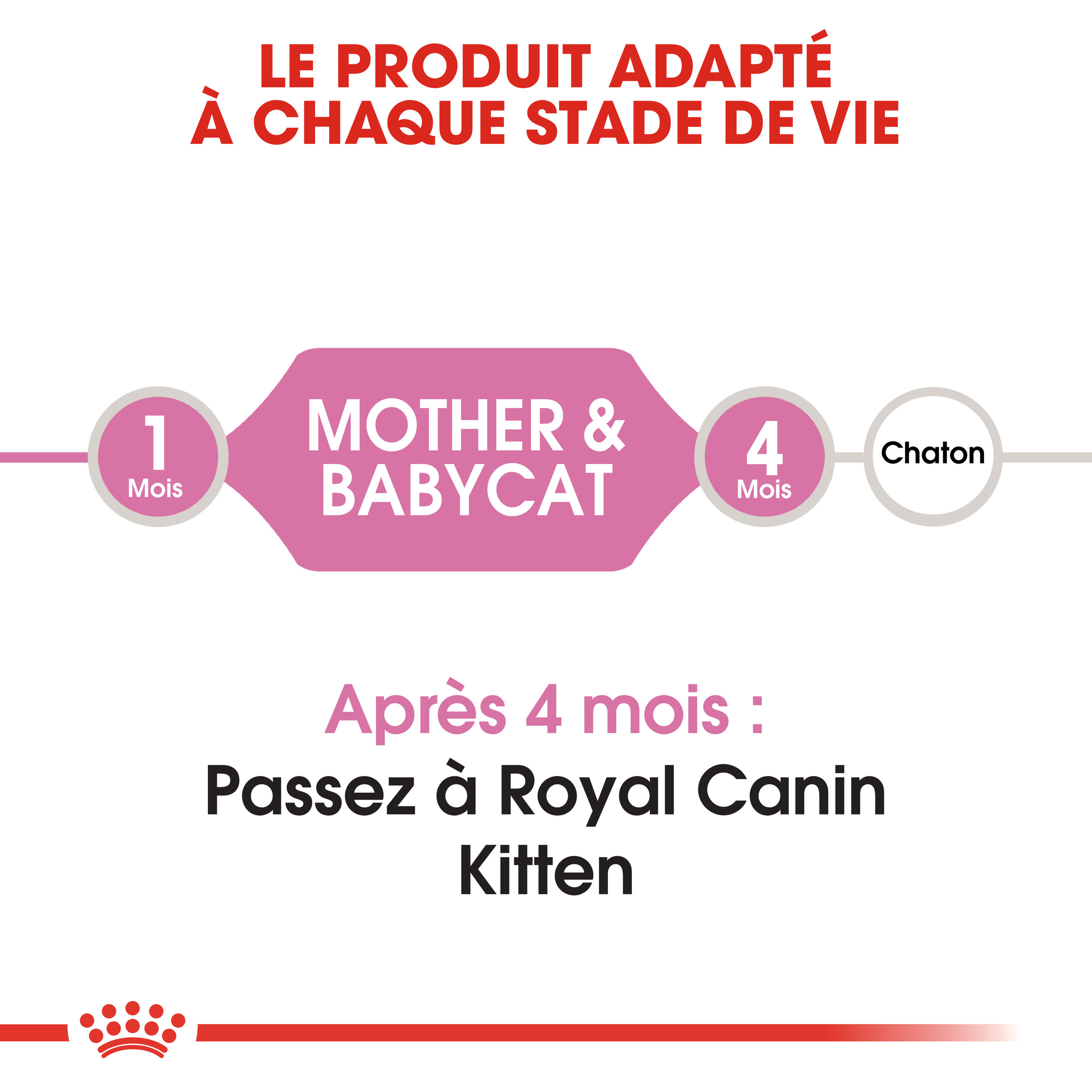 Royal Canin Chaton Babycat 34