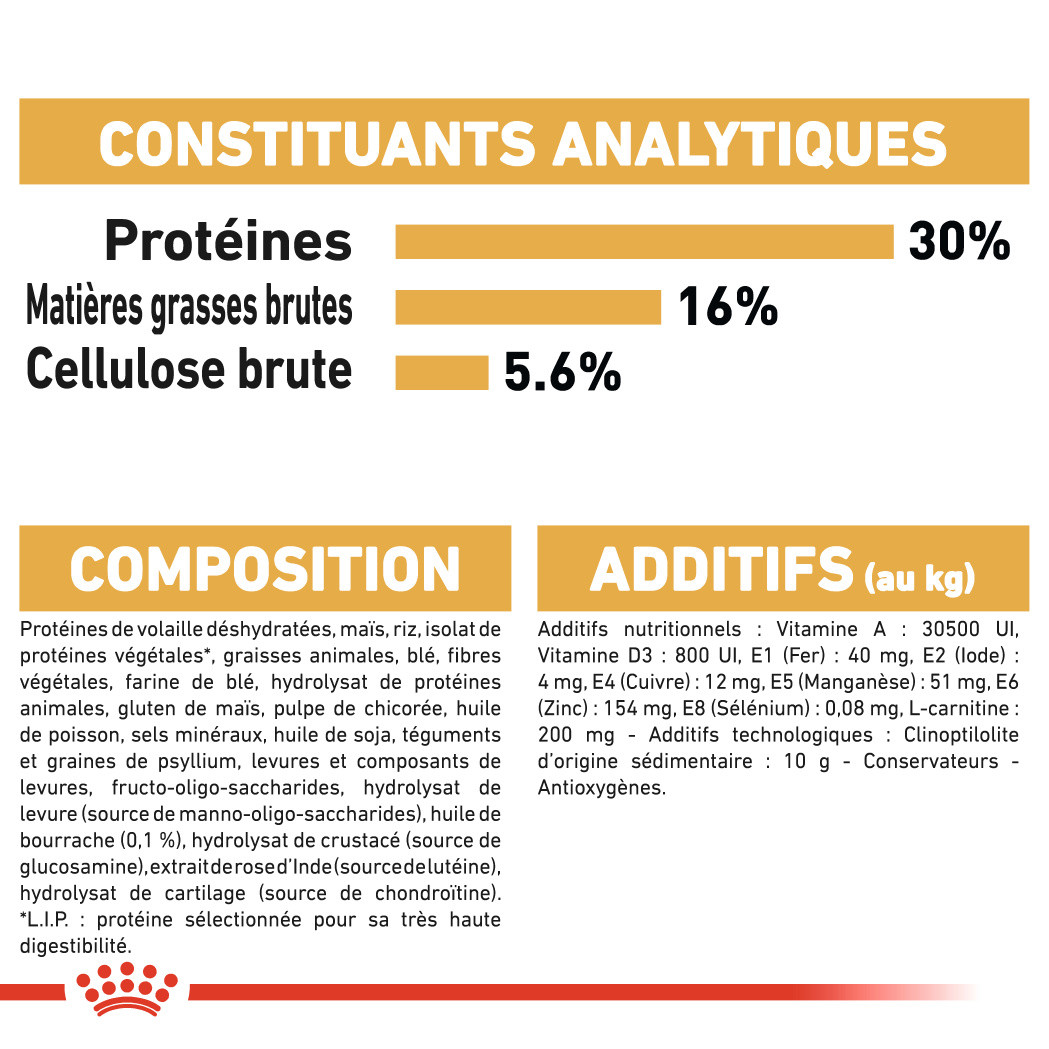 Royal Canin Norvégien pour chat