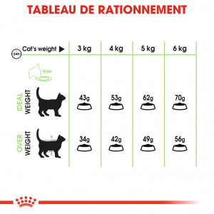 Royal Canin Chat Digestive Care