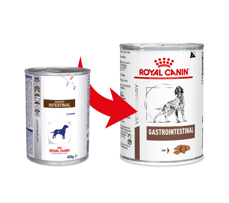 Royal Canin Veterinary Gastrointestinal pour chien - boîte 400 g