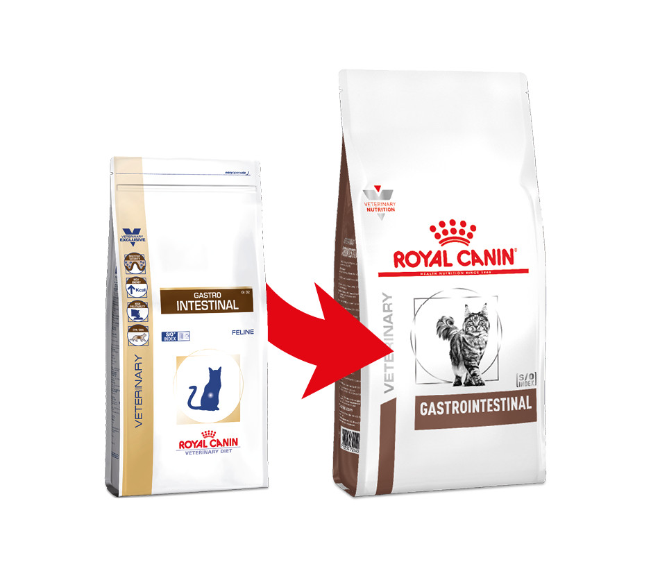 Croquettes Royal Canin Chat Gastro Intestinal Gi 32 A Bas Prix