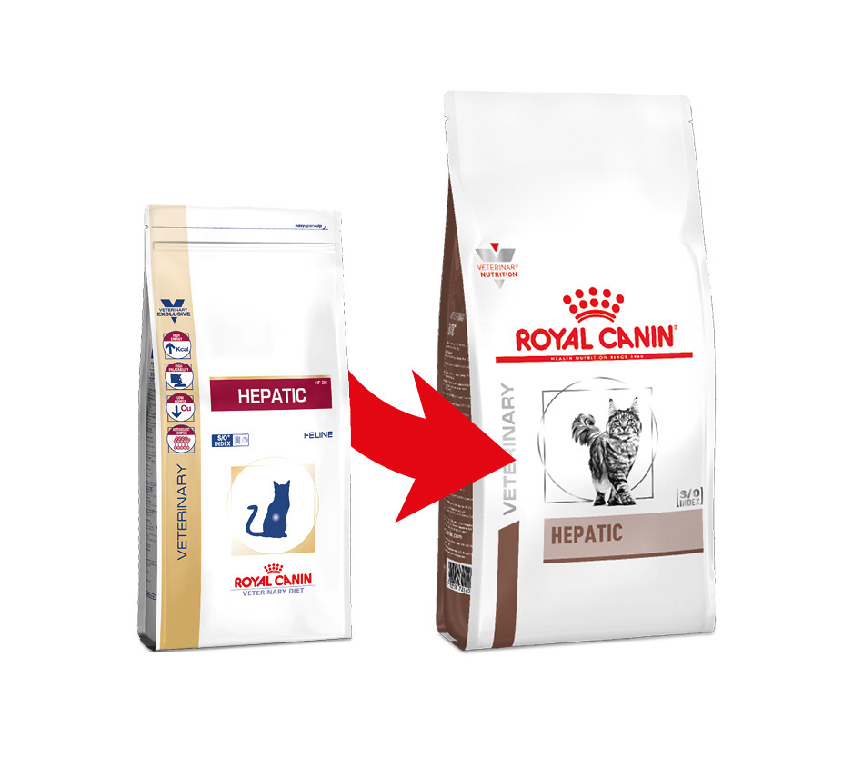 Royal Canin Hepatic pour Chat