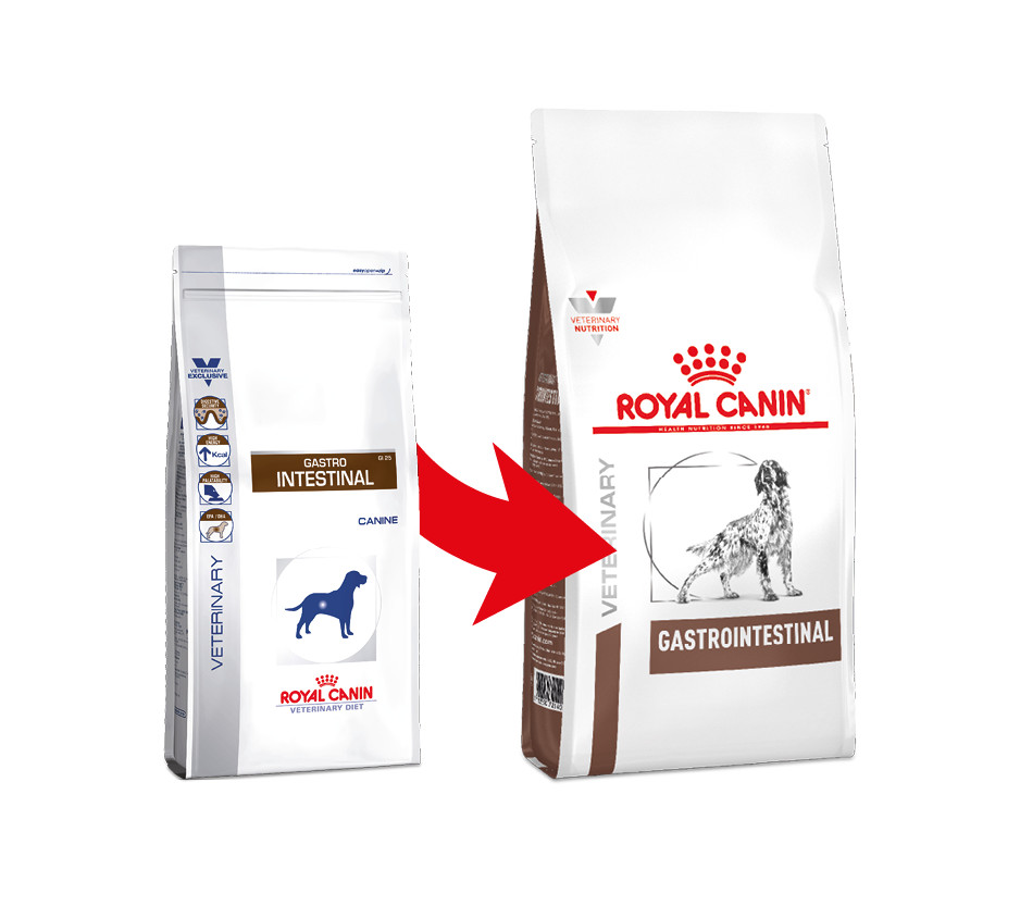 Royal Canin Veterinary Gastrointestinal pour chien