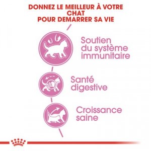 Royal Canin Chaton 36