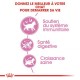 Royal Canin Chaton 36