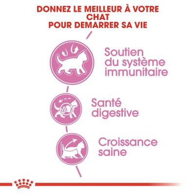 Royal Canin Chaton 36