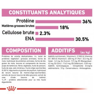 Royal Canin Chaton 36