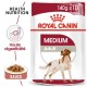 Royal Canin Medium Adult Sachets pour chien