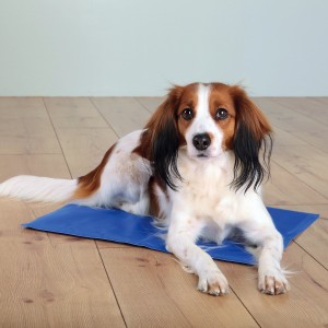 Tapis rafraîchissant pour chien taille M Une pièce