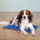 Tapis rafraîchissant pour chien taille M