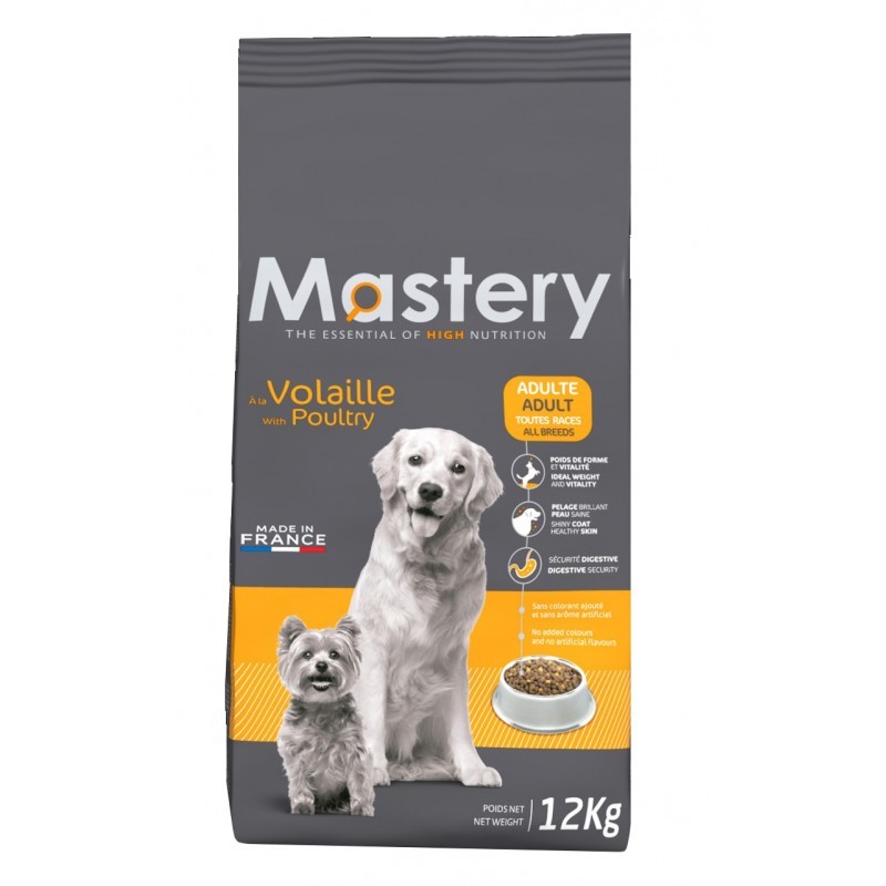 Mastery Adult Dog