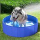 Piscine pour chien 30 cm de haut