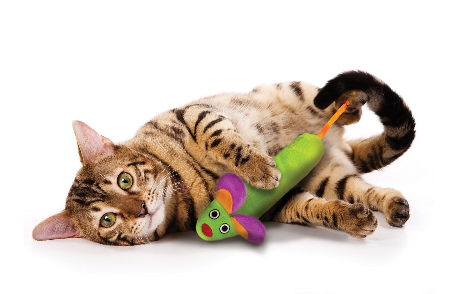 Petstages Green Magic Mighty Mouse voor de kat