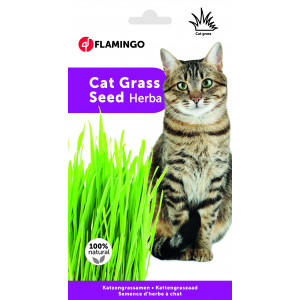 herbe à chat 3 x 100 g