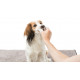 Trixie vingerpads tandreiniging voor hond en kat 50 st