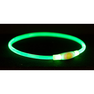 Collier éclairant Flash 65 cm vert pour chien 1 pièce